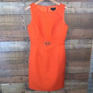 Tahari Lisa Dress Tangerine Women’s 6 NWT